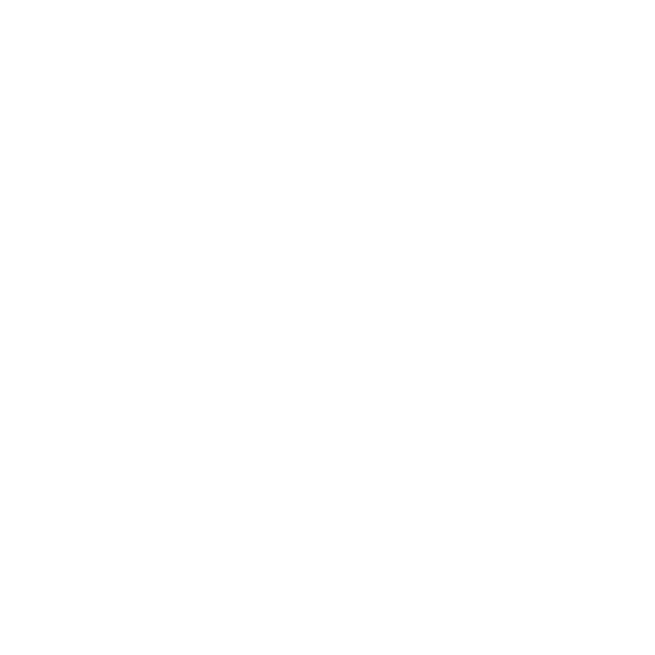 clientes espeto do sul