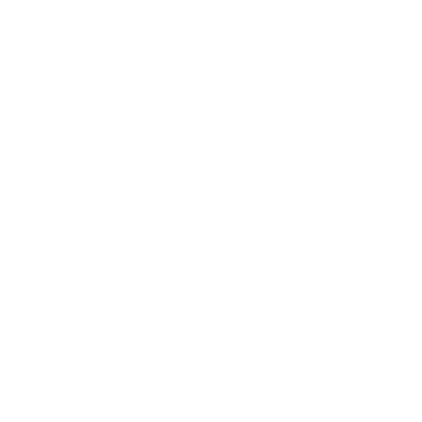 clientes salpoente